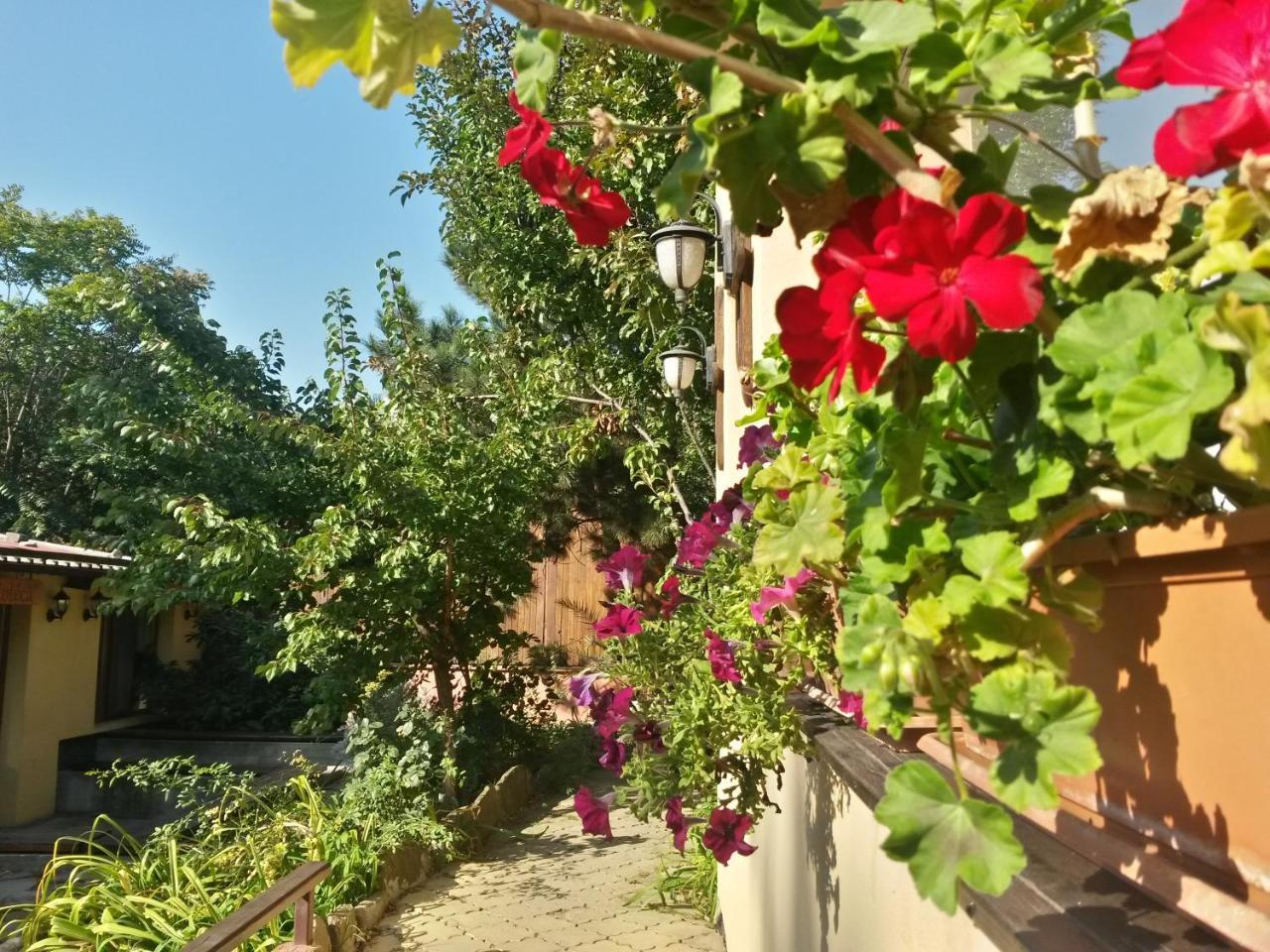 Casa Mica Guesthouse บูคาเรสต์ ภายนอก รูปภาพ