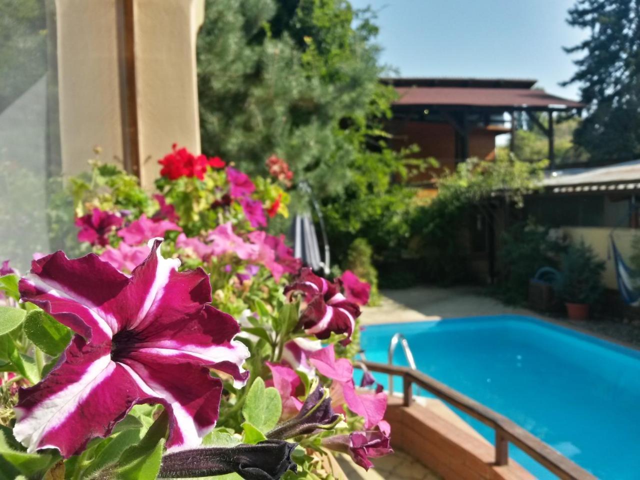 Casa Mica Guesthouse บูคาเรสต์ ภายนอก รูปภาพ