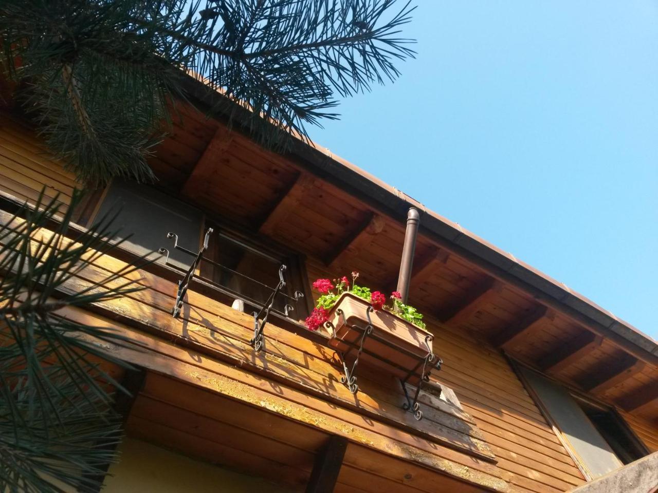 Casa Mica Guesthouse บูคาเรสต์ ภายนอก รูปภาพ