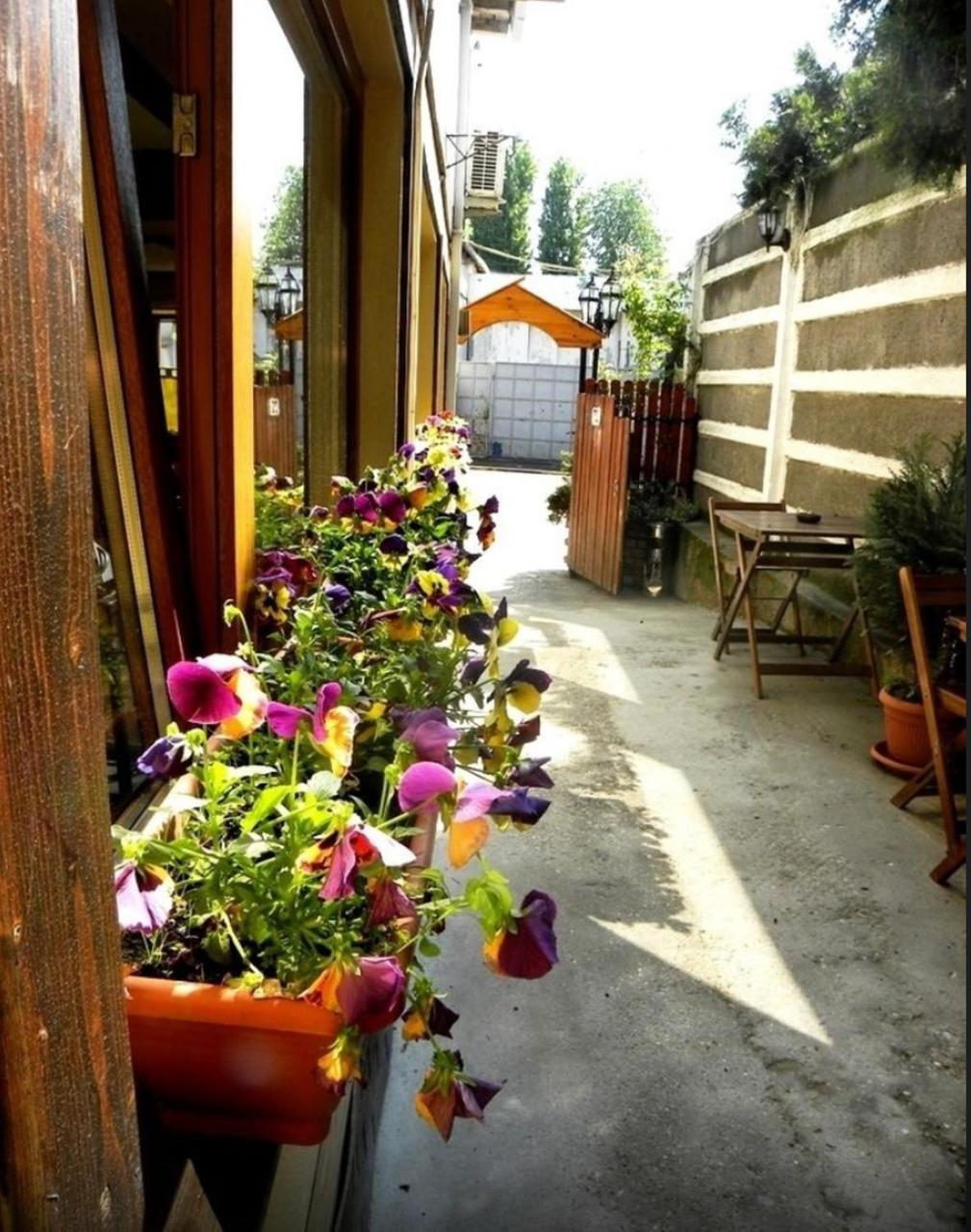 Casa Mica Guesthouse บูคาเรสต์ ภายนอก รูปภาพ